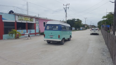 Buslife in Xcalak